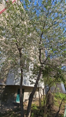 Продам двухкомнатную (2-комн.) квартиру, Ленина пр-кт, 9, Октябрьский г