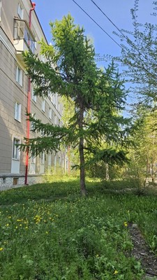 Продам двухкомнатную (2-комн.) квартиру, Ленина пр-кт, 9, Октябрьский г