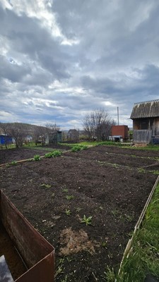 Продам дачу, Дружба-2 тер. СНТ, Октябрьский г, 0 км от города