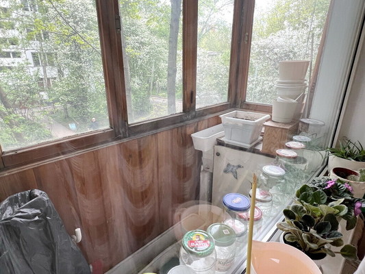 Продам двухкомнатную (2-комн.) квартиру, Альпийский пер, 11к1, Санкт-Петербург г