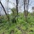 Продам участок 5 соток, Фермерское хоз., Убыхская ул, Нальчик г, 0 км от города