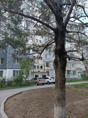 Продам однокомнатную (1-комн.) квартиру, 60 лет Октября ул, 23, Симферополь г