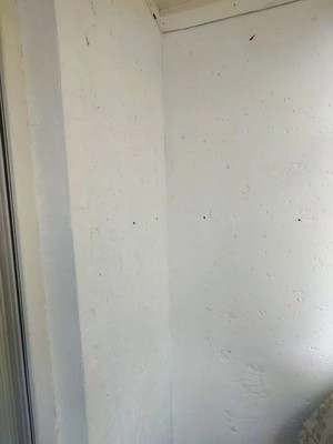 Продам двухкомнатную (2-комн.) квартиру, 1, Торосово д