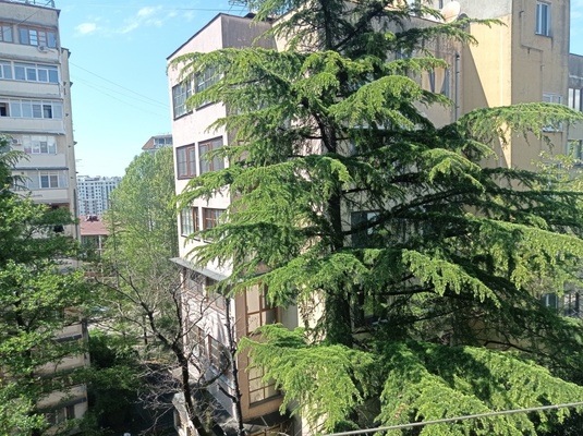 Сдам однокомнатную (1-комн.) квартиру, Туапсинская (Центральный р-н) ул, 43, Сочи г