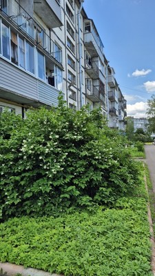 Продам двухкомнатную (2-комн.) квартиру, Центральная ул, 2, Володарское п
