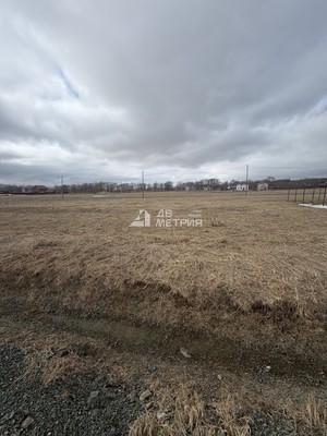 Продам участок 8,9 соток, ИЖС, Семейный проезд, 18, Березняки с, 0 км от города