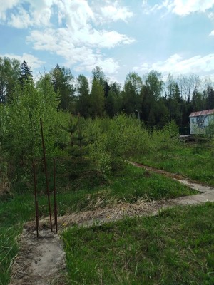 Продам участок 45 соток, ИЖС, Дачная ул, Малые Жеребцы д, 0 км от города
