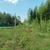 Продам участок 45 соток, ИЖС, Дачная ул, Малые Жеребцы д, 0 км от города