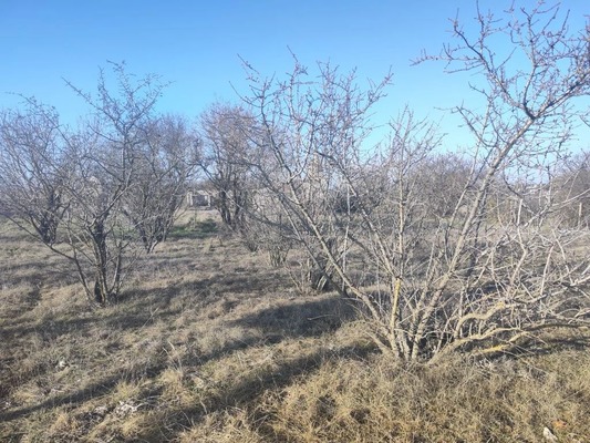 Продам участок 8,35 соток, Фермерское хоз., Дубки с, 0 км от города
