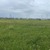Продам участок 6,31 соток, Фермерское хоз., Садовая ул, Лесновка с, 0 км от города