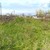 Продам участок 50 соток, ИЖС, Армавирская ул, 14, Высокий п, 0 км от города