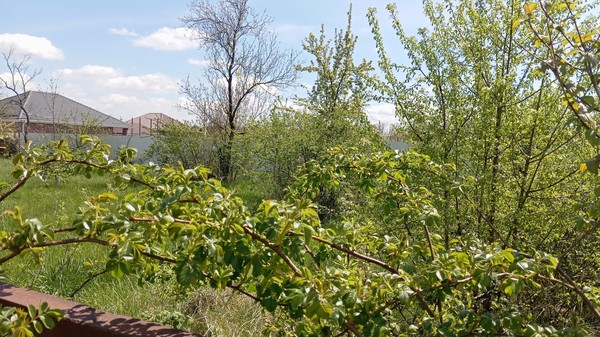 Продам участок 50 соток, ИЖС, Армавирская ул, 14, Высокий п, 0 км от города
