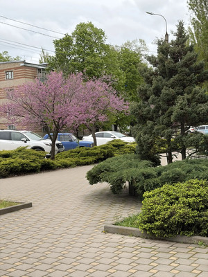 Продам двухкомнатную (2-комн.) квартиру, Калинина ул, 122, Тихорецк г