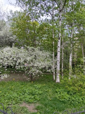 Продам двухкомнатную (2-комн.) квартиру, Вяземский пер, 4А, Санкт-Петербург г