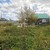 Продам участок 9,19 соток, Фермерское хоз., Путеец тер. СНТ, 1, Южно-Сахалинск г, 0 км от города