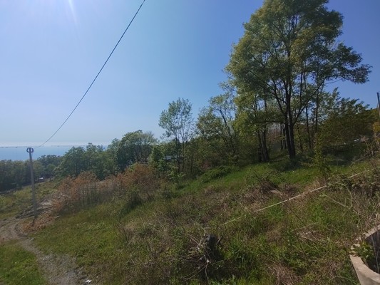 Продам участок 8 соток, ИЖС, Агой с, 0 км от города