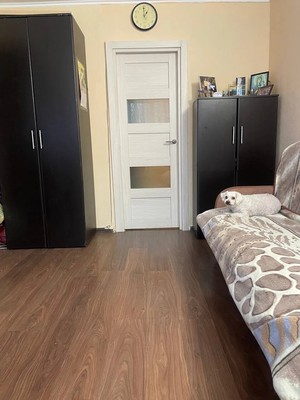 Продам многокомнатную квартиру, Большевиков пр-кт, 30Ак4, Санкт-Петербург г