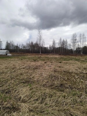 Продам участок 30 соток, Фермерское хоз., Бабенки д, 0 км от города