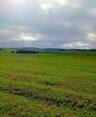 Продам участок 200 соток, ИЖС, Растущее с, 0 км от города
