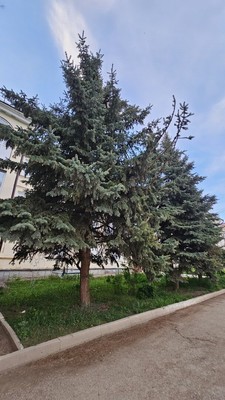 Продам двухкомнатную (2-комн.) квартиру, Свердлова ул, 30, Октябрьский г