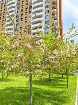 Продам двухкомнатную (2-комн.) квартиру, Нижегородская ул, 11, Москва г