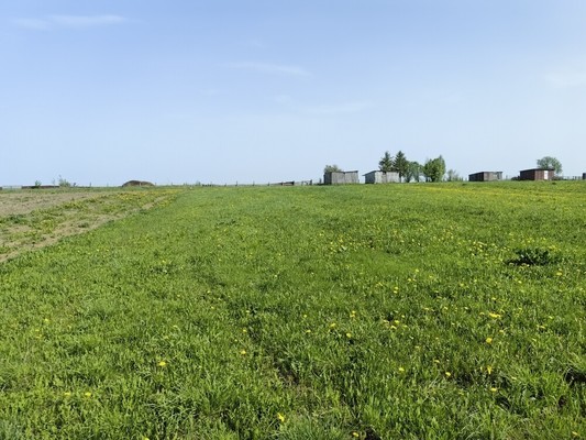Продам дом, Дальняя ул, Отар-Дубровка с, 0 км от города