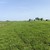 Продам дом, Дальняя ул, Отар-Дубровка с, 0 км от города