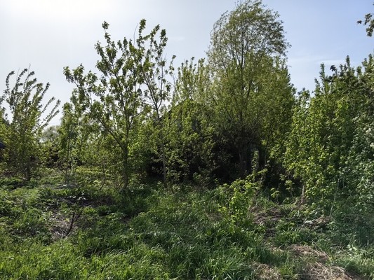 Продам дом, Дальняя ул, Отар-Дубровка с, 0 км от города