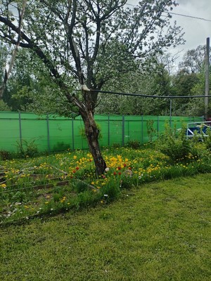 Продам дом, Уголек снт, 60, Кудашевка д, 0 км от города