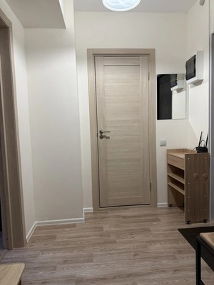 Продам однокомнатную (1-комн.) квартиру, Орлово-Денисовский пр-кт, 15к1, Санкт-Петербург г