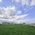 Продам участок 8 соток, ИЖС, Кабардинская ул, 3, Чегем г, 0 км от города