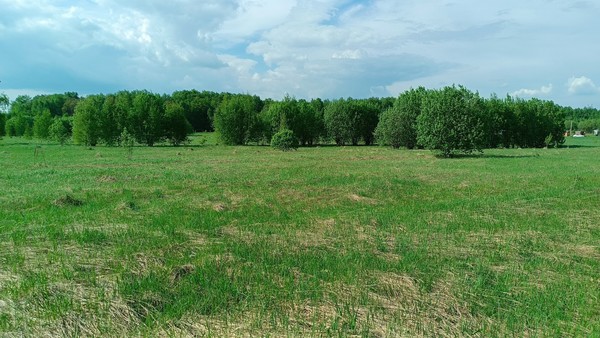 Продам участок 25 соток, ИЖС, Никулино д, 0 км от города
