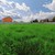 Продам участок 12 соток, ИЖС, Привольная ул, Руднево д, 0 км от города