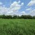 Продам участок 12 соток, ИЖС, Привольная ул, Руднево д, 0 км от города