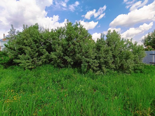Продам участок 12 соток, ИЖС, Привольная ул, Руднево д, 0 км от города