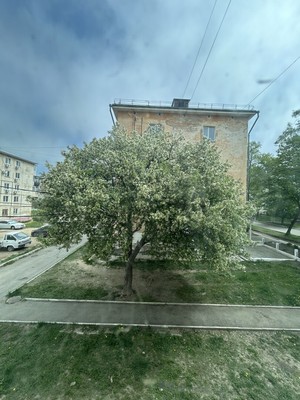 Продам однокомнатную (1-комн.) квартиру, Мищенко ул, 6, Фокино г