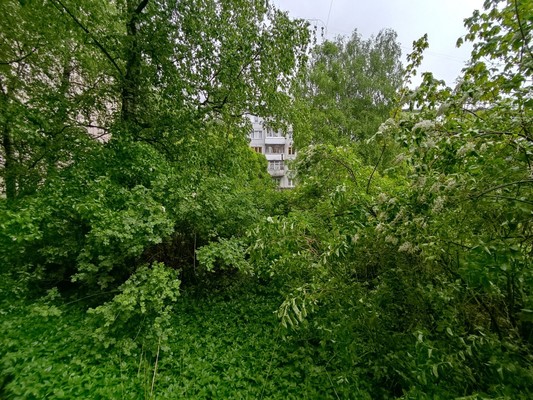 Продам двухкомнатную (2-комн.) квартиру, Октябрьская ул, 40, Великий Новгород г