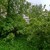 Продам двухкомнатную (2-комн.) квартиру, Октябрьская ул, 40, Великий Новгород г