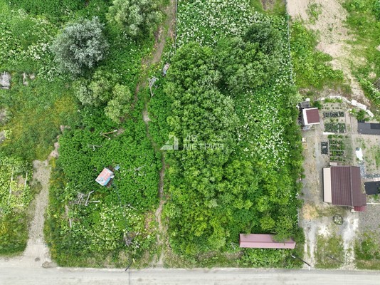 Продам участок 30 соток, Фермерское хоз., Центральная ул, 21, Березняки с, 0 км от города