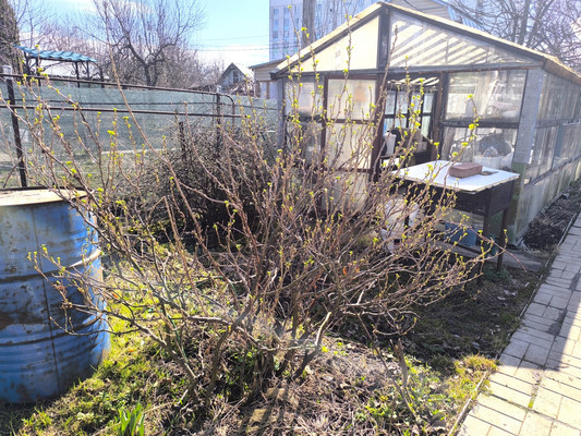 Продам дом, СНТ N7 Дубки (Климовск мкр.) тер, Подольск г, 0 км от города