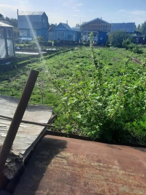Продам дачу, Транспортник тер. СНТ, 147, Железнодорожный (Ситниковский с/с) п, 0 км от города