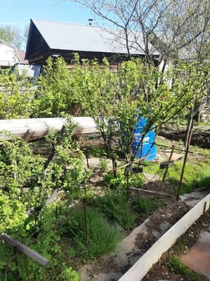 Продам дачу, Транспортник тер. СНТ, 147, Железнодорожный (Ситниковский с/с) п, 0 км от города
