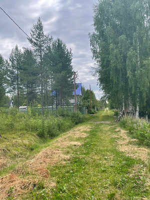 Продам участок 9 соток, Фермерское хоз., СНТ Помидор тер, 36, Выльгорт с, 0 км от города