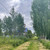 Продам участок 9 соток, Фермерское хоз., СНТ Помидор тер, 36, Выльгорт с, 0 км от города