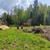 Продам участок 9 соток, Фермерское хоз., Участок N 7 п, 0 км от города