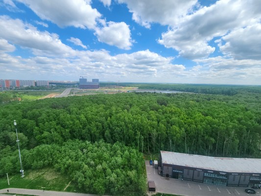 Продам однокомнатную (1-комн.) квартиру, Южная ул, 27, Дрожжино рп
