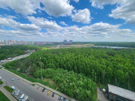 Продам однокомнатную (1-комн.) квартиру, Южная ул, 27, Дрожжино рп