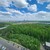 Продам однокомнатную (1-комн.) квартиру, Южная ул, 27, Дрожжино рп