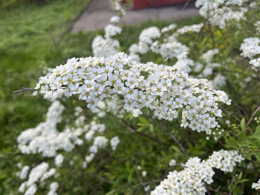 Продам двухкомнатную (2-комн.) квартиру, Большая Серпуховская ул, 30а, Подольск г