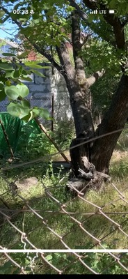 Продам участок 5 соток, Фермерское хоз., Компактный пер, 4, Ростов-на-Дону г, 0 км от города